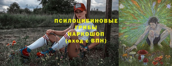 соль ск Аркадак