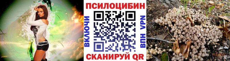 Псилоцибиновые грибы Magic Shrooms  Соль-Илецк 