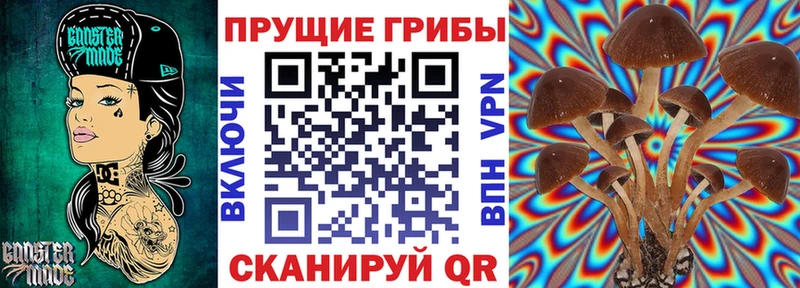 Галлюциногенные грибы прущие грибы Соль-Илецк